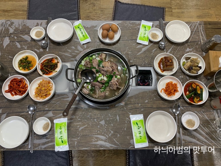 황칠오리 이미지