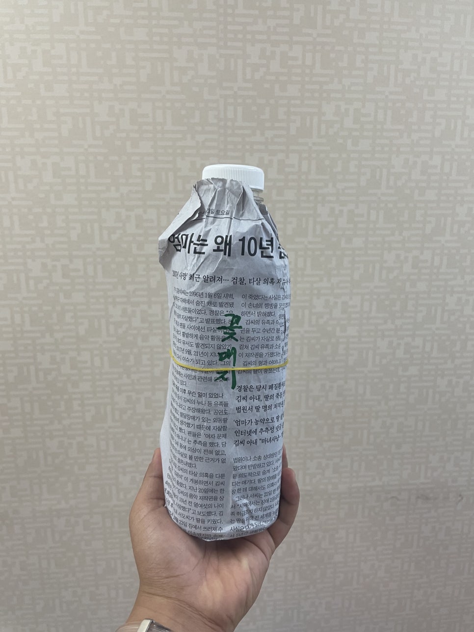 산본꽃돼지 이미지