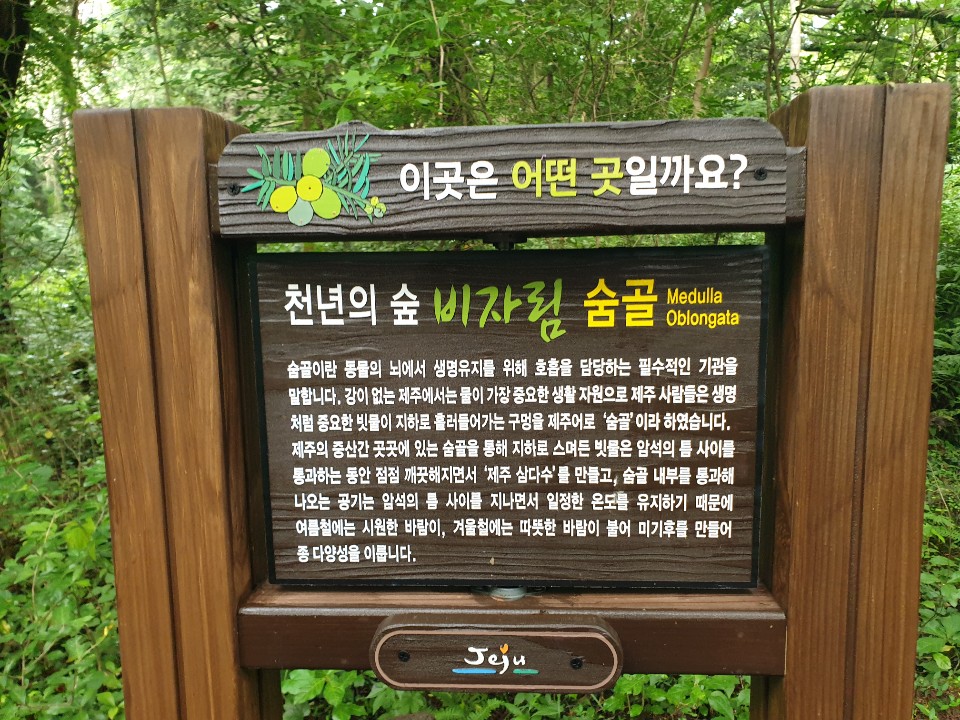 제주 휠체어투어 이미지