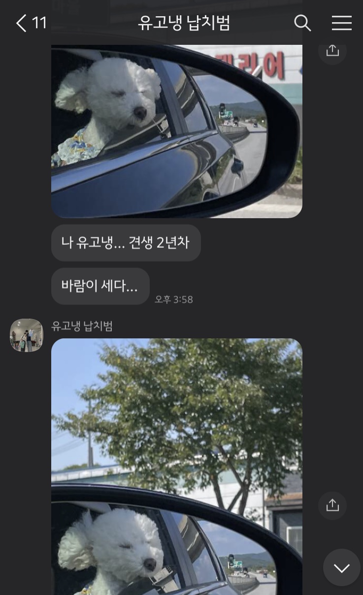 꼰띠고1 이미지