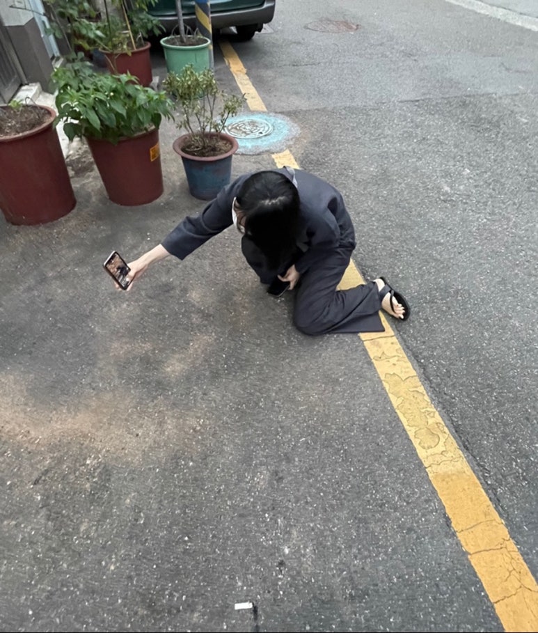 쎕 이미지