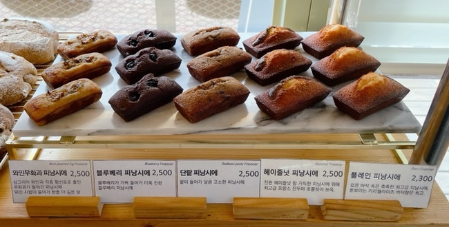타니예르 이미지