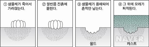 몰드와캐스트 이미지