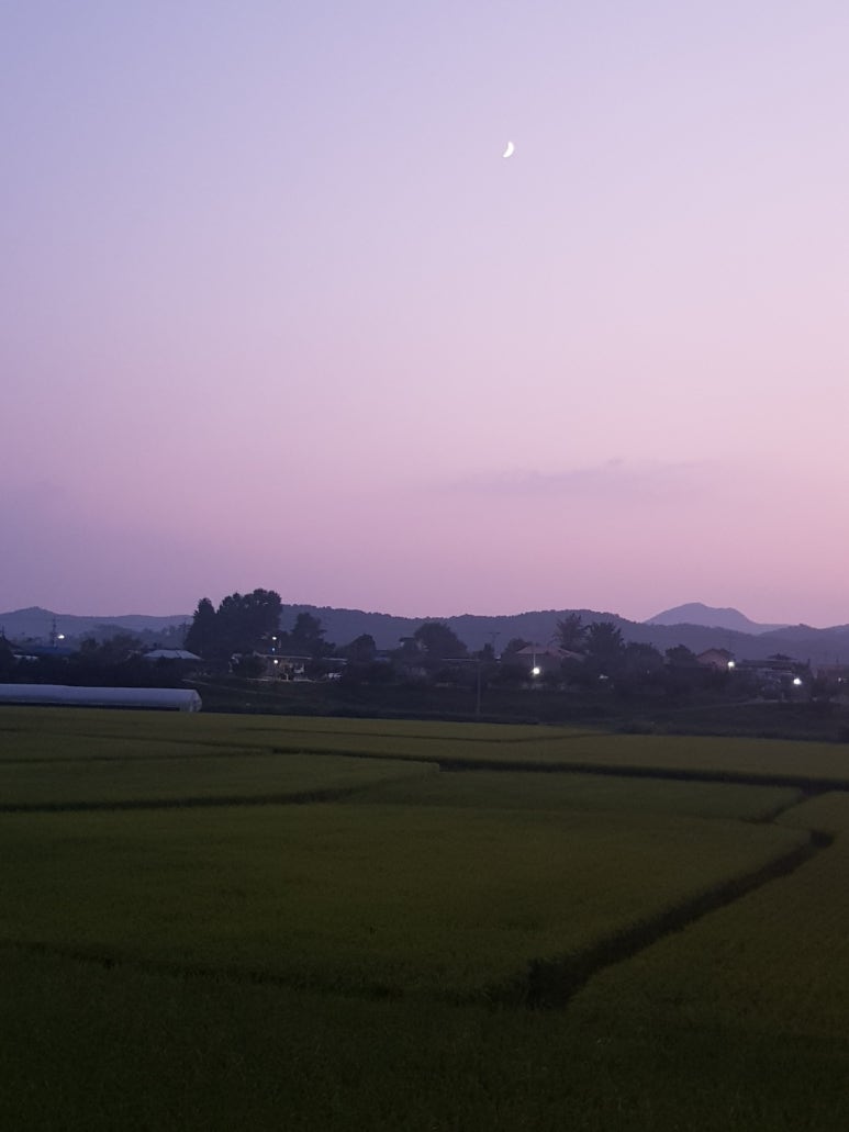 장수어장 이미지