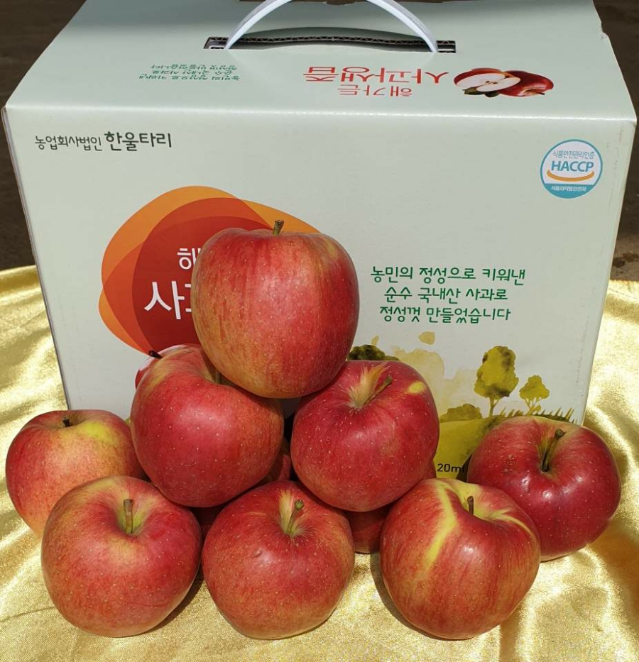 양지농원 이미지