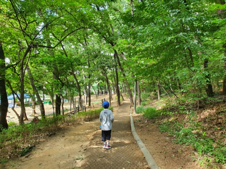 일자산공원 유아숲체험원 이미지