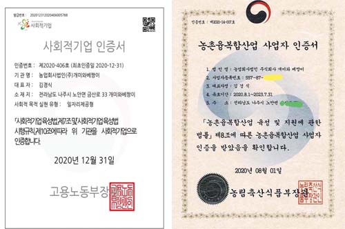 일하는베짱이 이미지