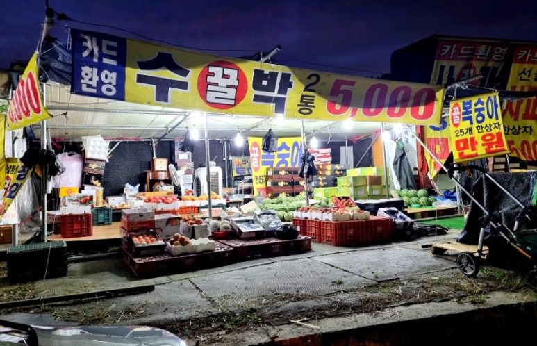 싱싱청과 이미지