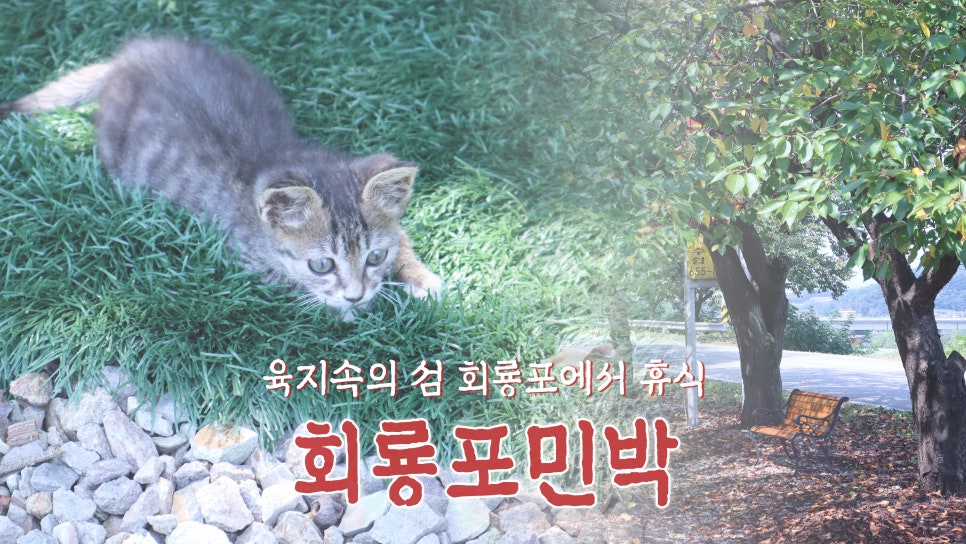 섬속의섬민박 이미지