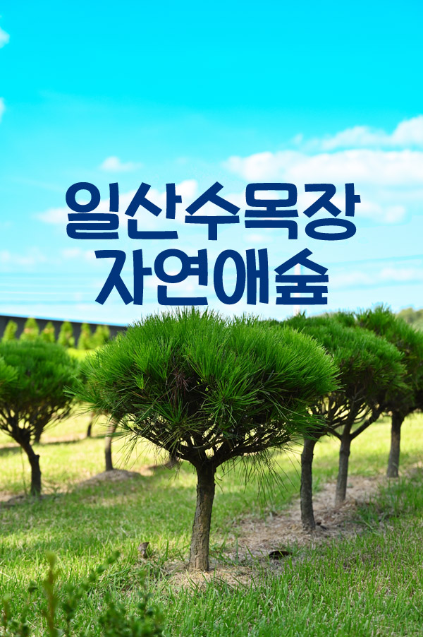 서울장묘사업소 이미지