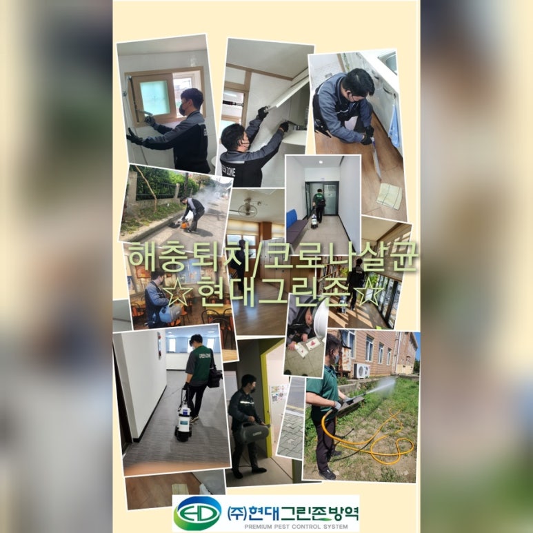 그린현대써비스 이미지