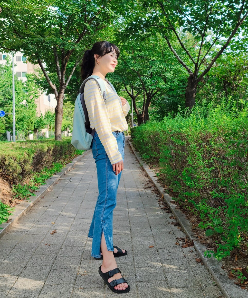 비엑스디 이미지