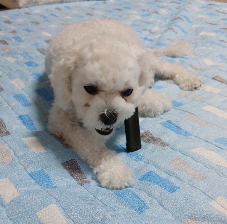 몬스터츄 이미지