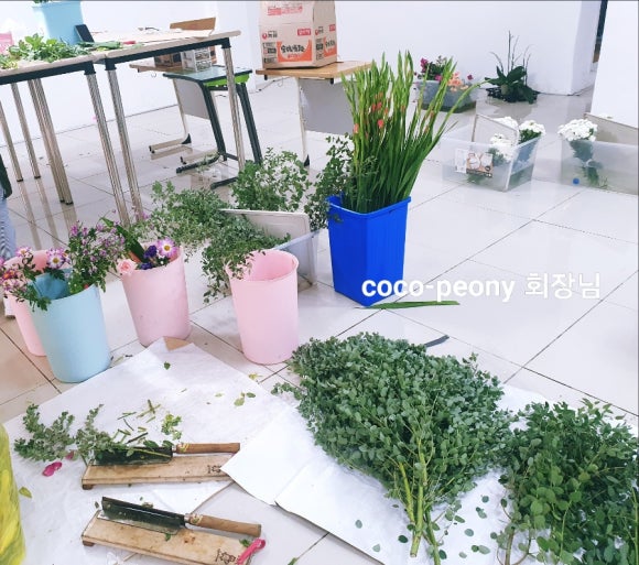 사구려플라워 이미지