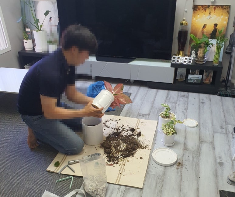 해성꽃농원 이미지