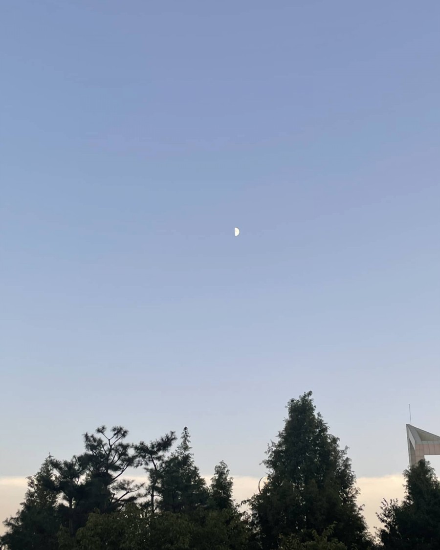 엘음악교습소 이미지