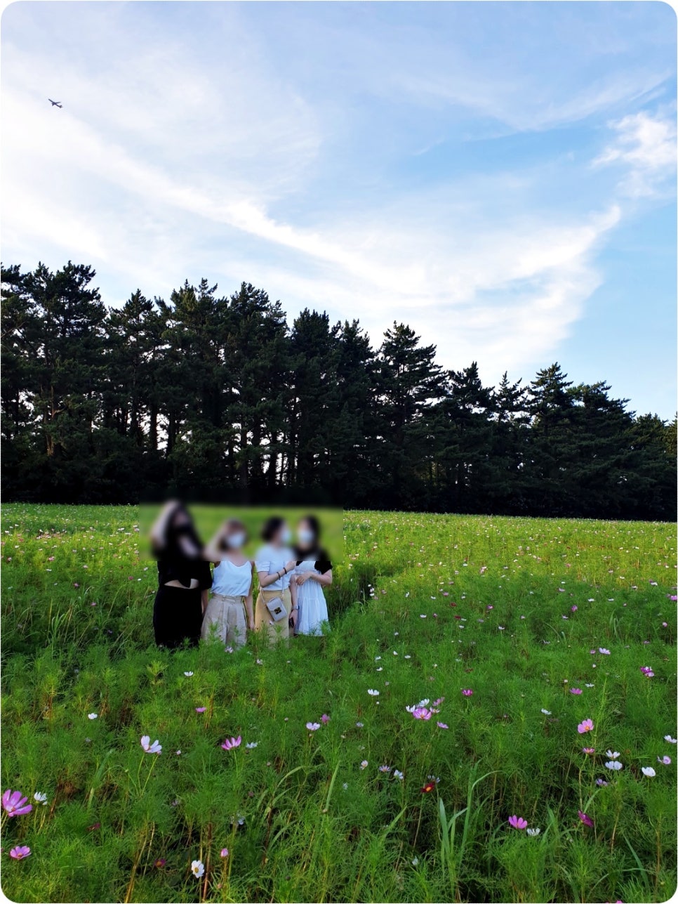 카페점보 이미지