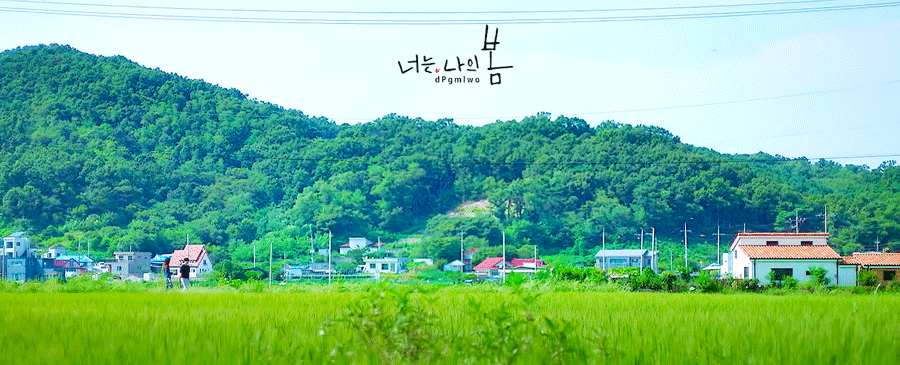 16-41b.gif?type=w966