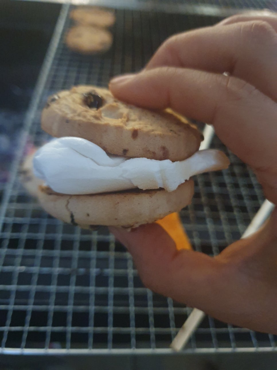 보광산관광농원 이미지