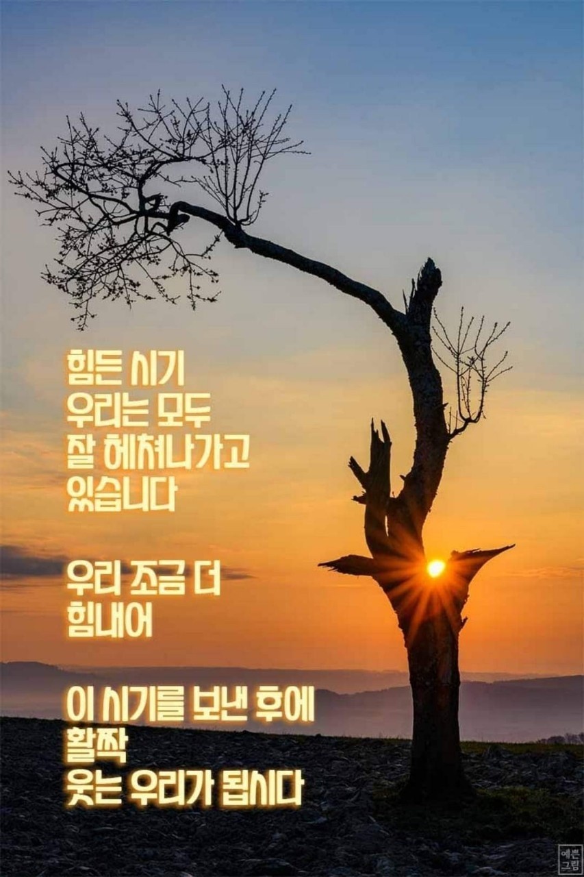랜드컨설팅 이미지