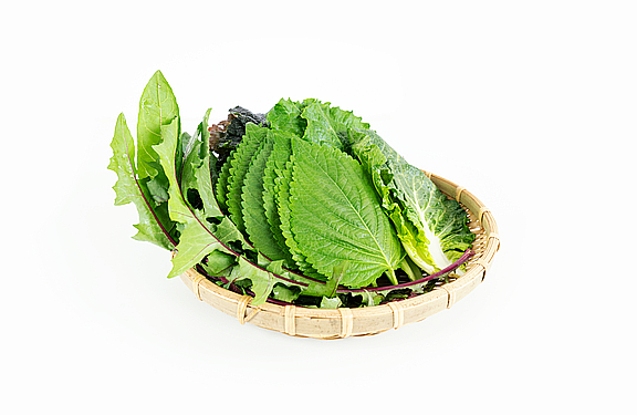 깻잎 종류 비교, 깻잎 효능, 깻잎과 고기는 최고의 궁합?💚 : 네이버 블로그