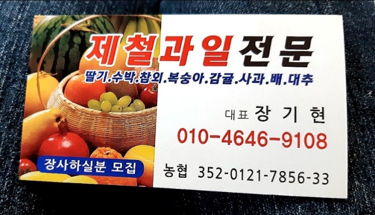 싱싱청과 이미지