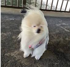 주식회사 이소 이미지