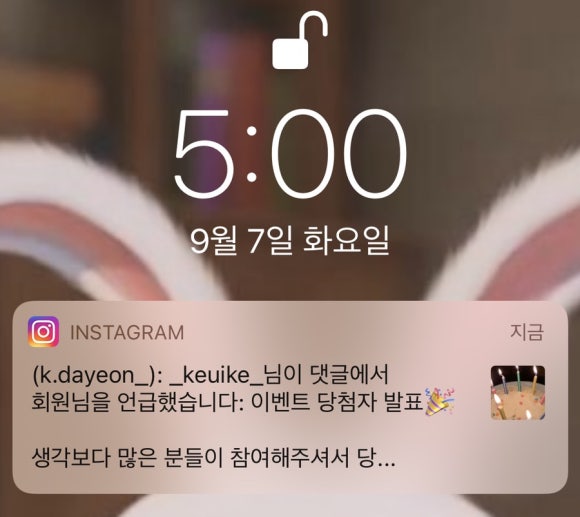 첼리와비올라 이미지