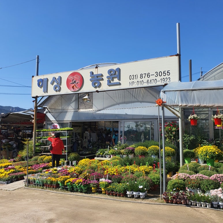 해성꽃농원 이미지