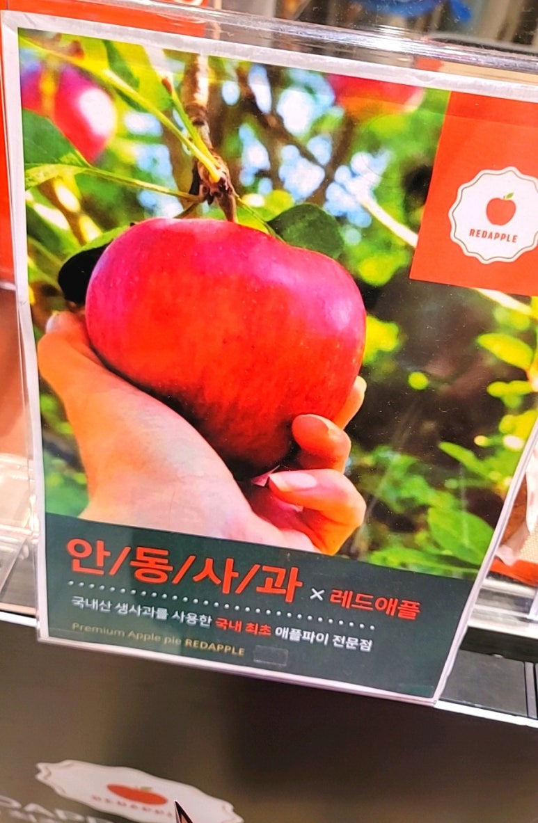 파이래드 이미지