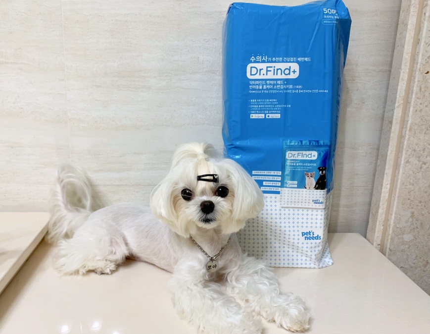 닥터파인드 이미지