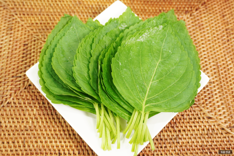 깻잎 종류 비교, 깻잎 효능, 깻잎과 고기는 최고의 궁합?💚 : 네이버 블로그