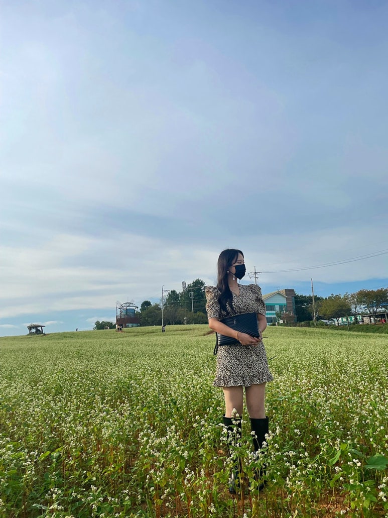 메밀나라 이미지