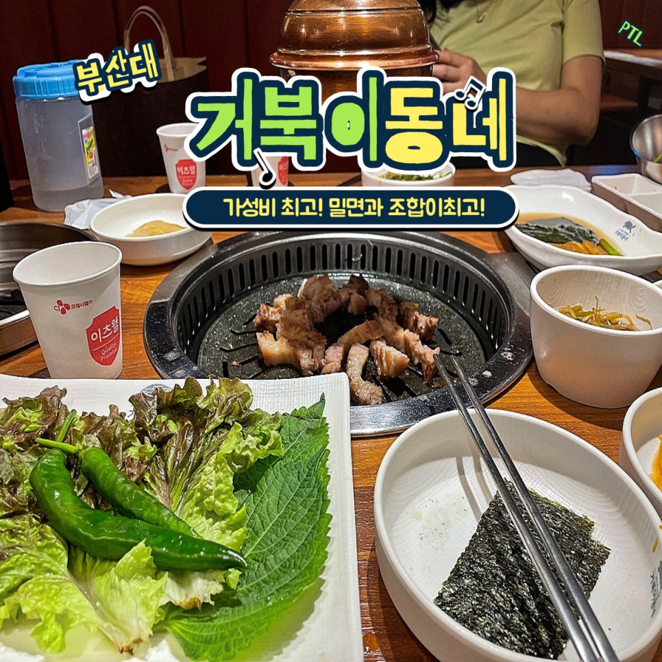 거북이동네 이미지
