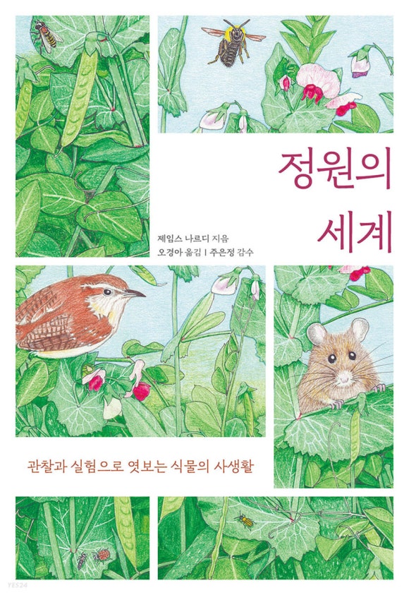 제임스@정원 이미지