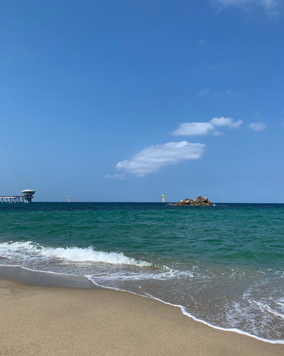 오떼오 이미지