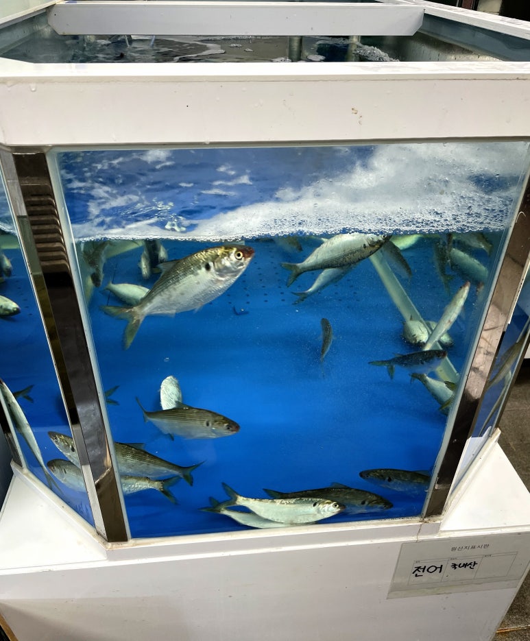 발안수산 이미지