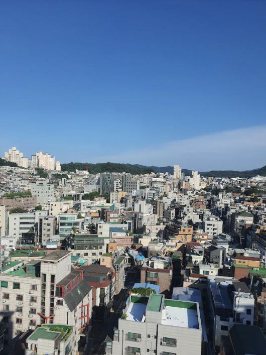다루커머스 이미지