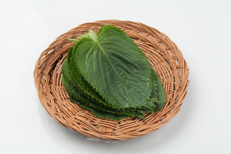 참치가게 이미지