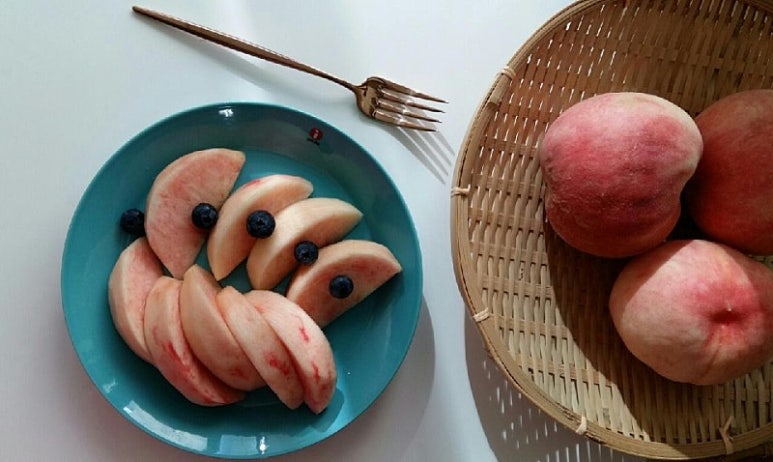 도마도마도 이미지