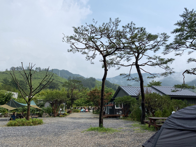 수입리캠핑장 이미지