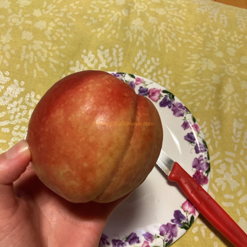 정다운농원 이미지