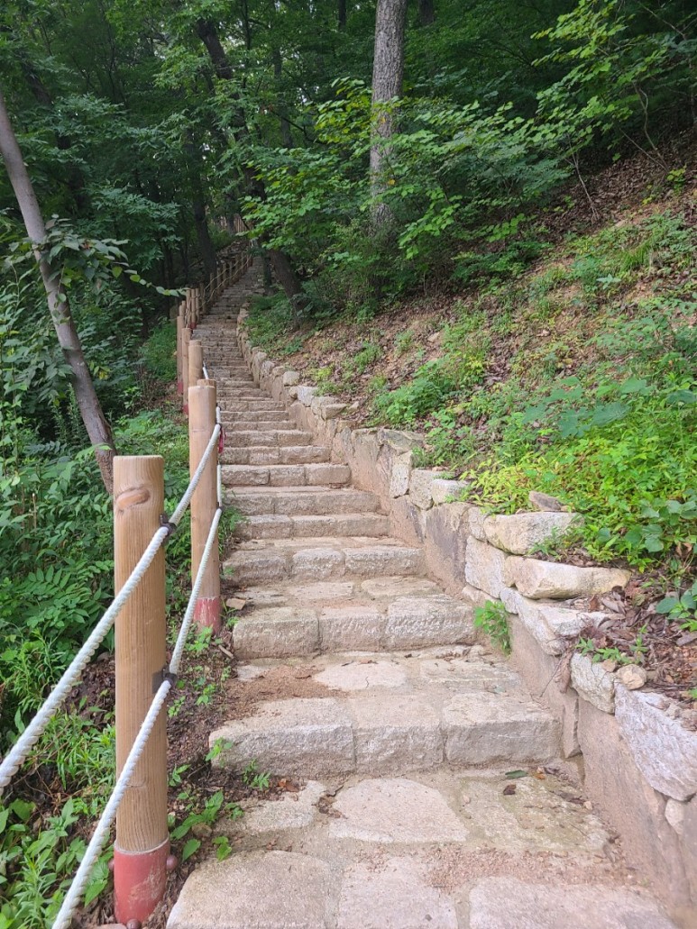 용두마트 이미지