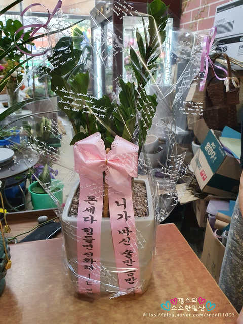 애니커피하우스 이미지