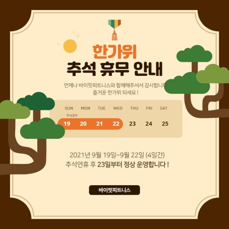 바이핏 이미지
