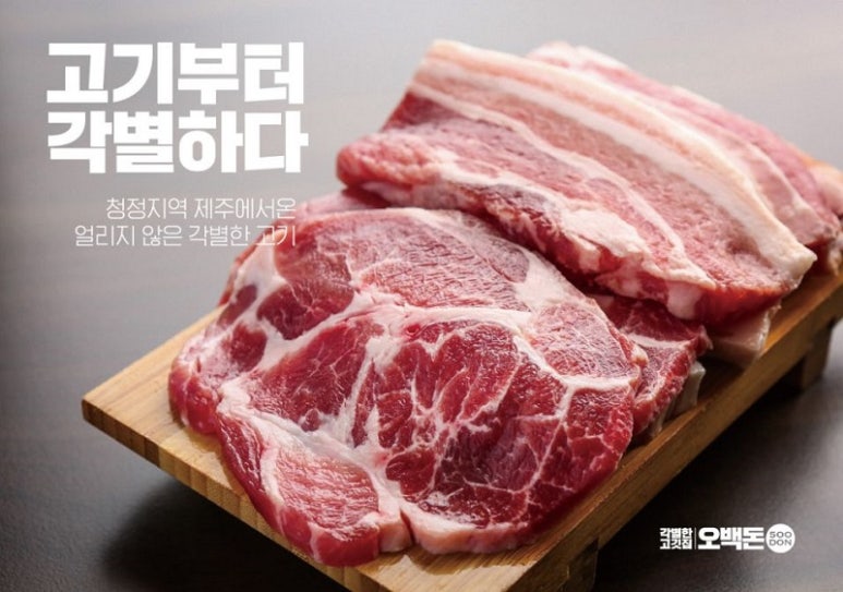 오백돈 이미지