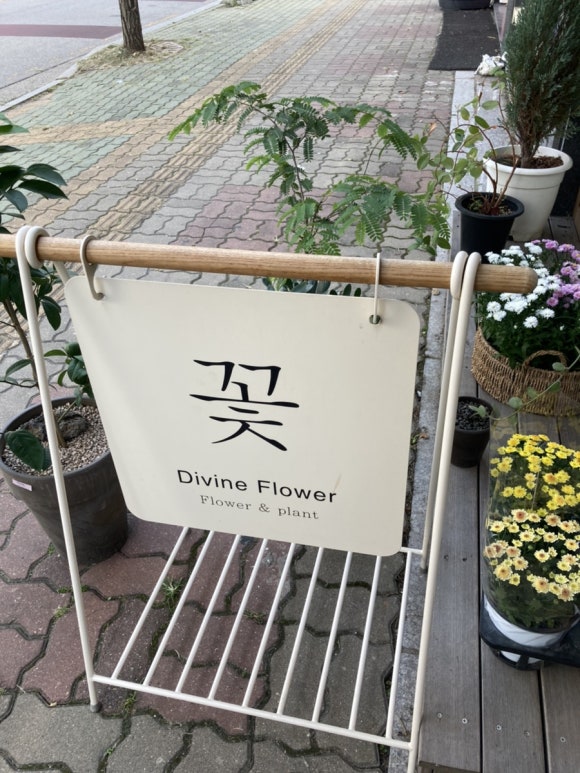 디바인플라워 이미지