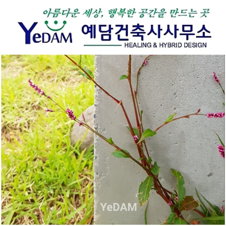 건축사사무소예담 이미지