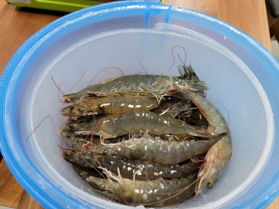 갑수형네 이미지