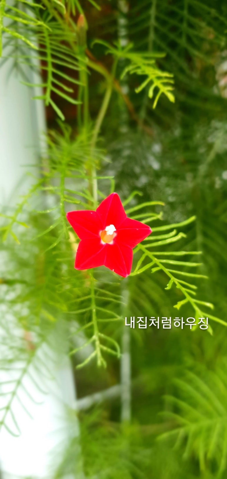 대영홈인테리어 이미지